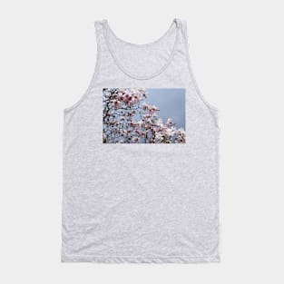 Spring Time Pink Blossoms Photography Tank Top